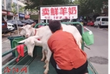 這類人畜共患病要警惕！這地今年發現432例患者