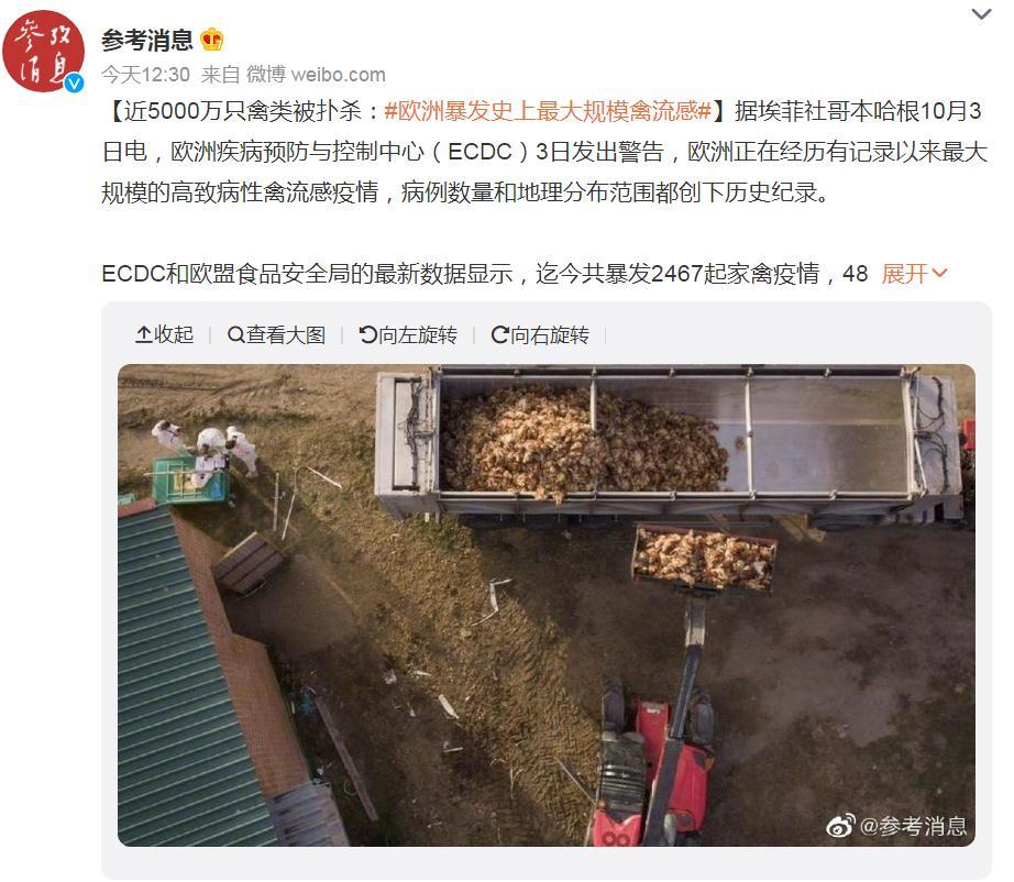 關注！歐洲暴發史上最大規模禽流感，波及37個國家！近5000萬只禽類被撲殺，蛋價會上漲么？